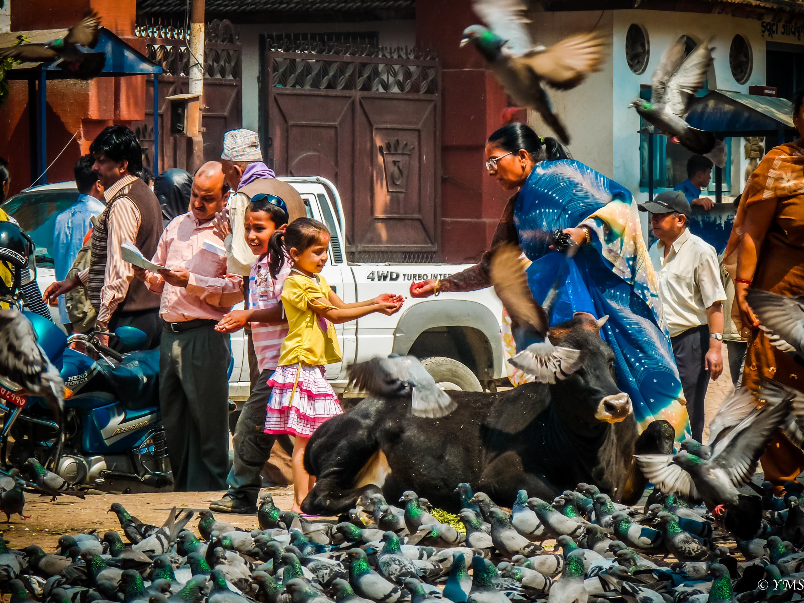 Nepal - Kathmandu - Crowded place