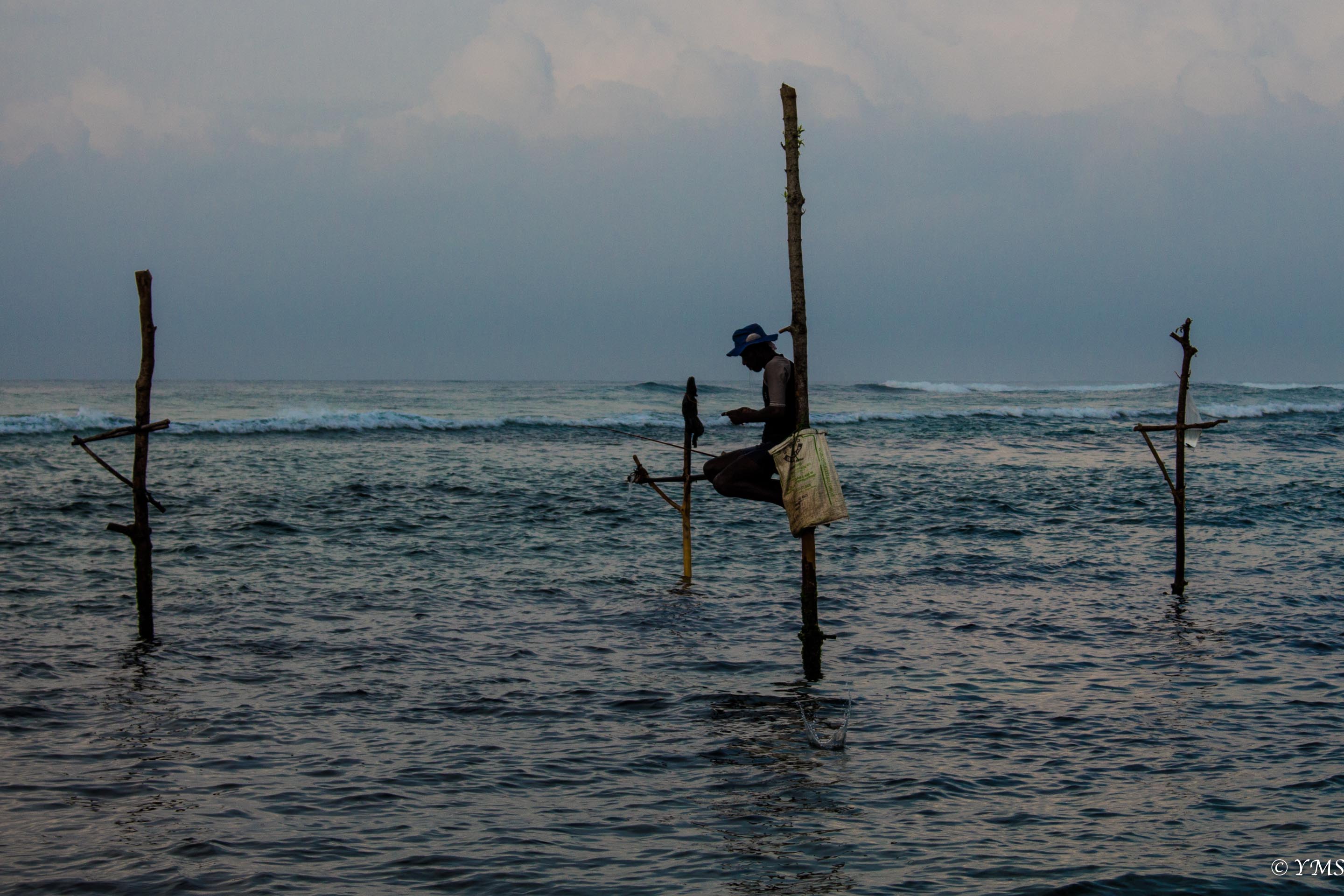 Sri Lanka - Fisherman on stilts 2