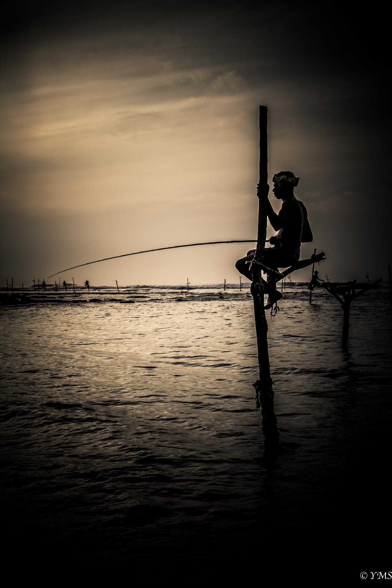 Sri Lanka - Fisherman on stilts
