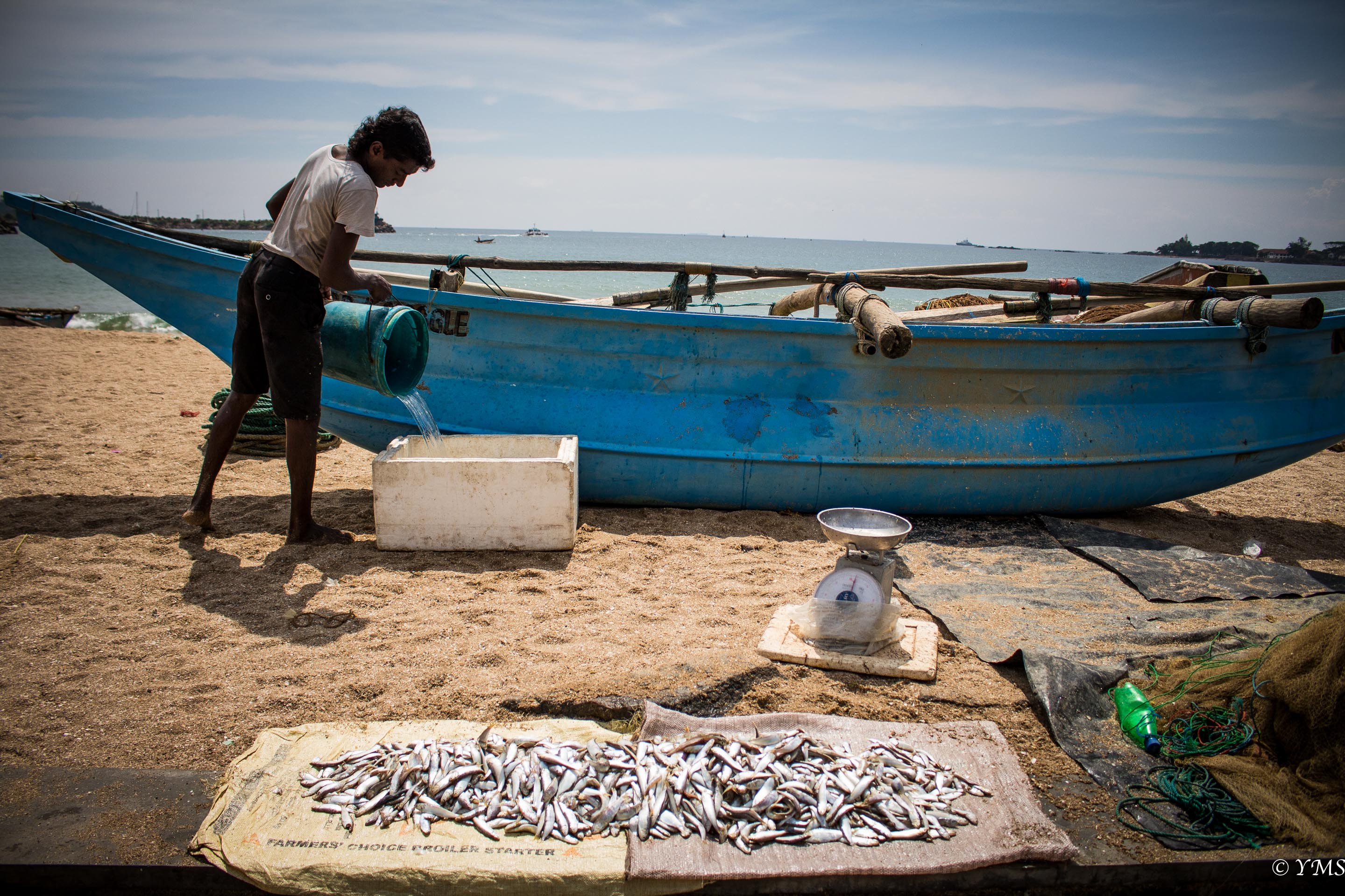 Sri Lanka - Galle - Fish market